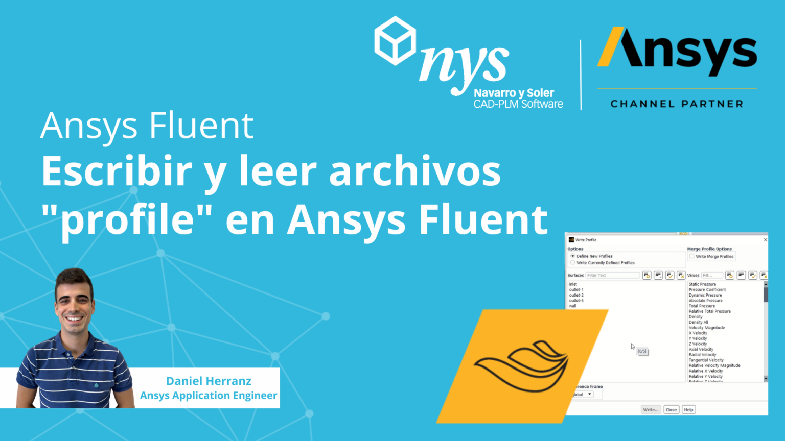 Ansys Fluent | Escribir y leer archivos 